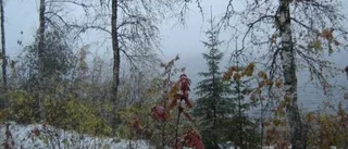Dagens väderbild