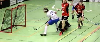 Rena rekordraset