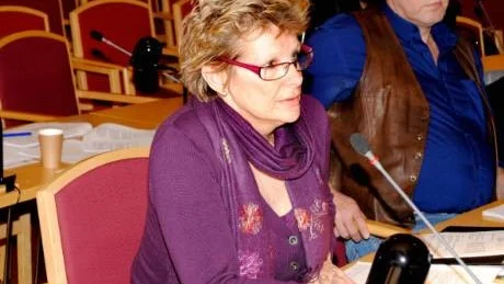 MÄRKLIGT. Kristina Enholm, MP ifrågasatte om oppositionen vilseletts när beslutet om att starta Fyren togs.