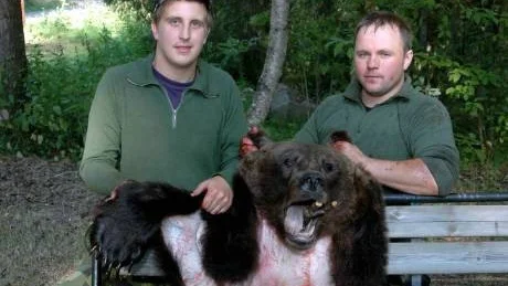 BJÖRNJÄGARE. Erik Ögren, 21 år, var med och jagade med pappa Daniel Jonsson, 38 år, då de tidigt på fredagsmorgonen fällde den första jakten i Sverige under årets björnjakt. Det är dessutom den första björnen som skjutits i Sjulnäs utanför Piteå i modern tid.
