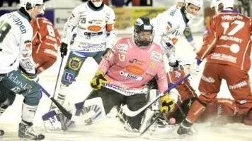 Kalix Bandy förlorade matchen hemma mot Hammarby.