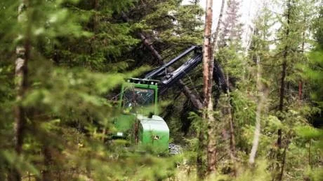SÄLJER. Sågverkskoncernen Setra säljer den skog de fick på köpet när Rolfs såg i Kalix övertogs för fem år sedan.