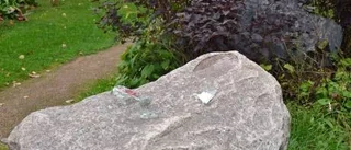 Glömda vänorter och glömd park