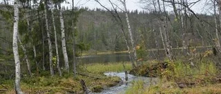 Bäcken blev bredare
