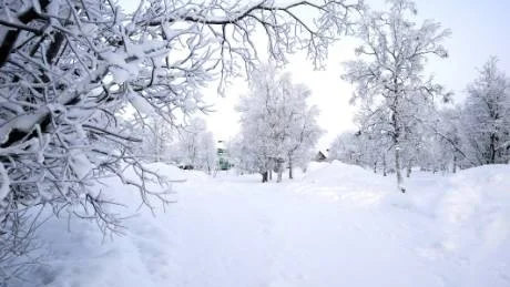 AHOS PARK. HSB har ansökt om planbesked hos kommunen eftersom de vill bygga 50-70 nya lägenheter i den delen av Ahos park som ligger närmast Vilan. Foto: Mattias Forsberg