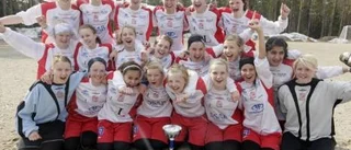 Länslaget straffade Sikfors i finalen