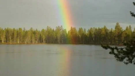 Efter ett regnoväder vid Myrträsket, Glommersträsk.