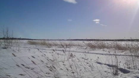 En vårbild från Piteälvens stränder.