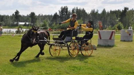 Veronica Isaksson och groomen Olof Brännström med Morganhingsten Hagas Farmer Boy i det första maratonhindret. På bilden till höger: Malin Isaksson Lidén med ponnyn Emil som erhöll Stilpris för tävlingens mest harmoniska ekipage.