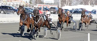 Piriac skrällde i Boden