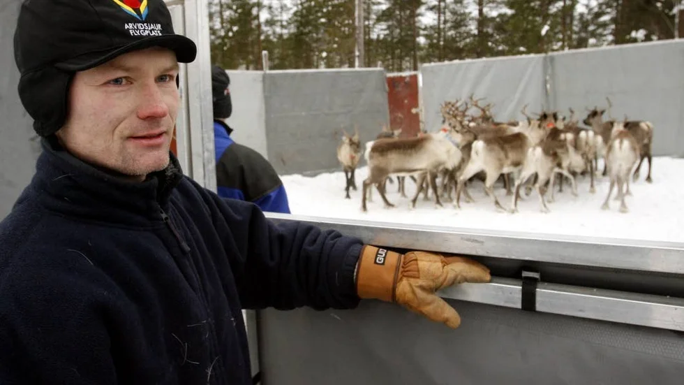 Positiv. Patrik Lundgren från Östra Kikkejaure sameby, är ­positiv till det nya projektet. (Arkivbild)