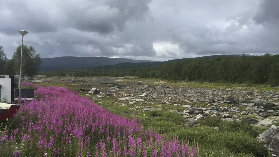 Stora problem. Båtuthyrningen har strandat. För Camp Polcirkeln vållar den låga vattennivån i Sädvajaure stora problem. "Många blir jättebesvikna, och vissa mer irriterade, men vi kan ju inte dra ner en båt 100 meter och sedan låta den ligga där nere i stenskravlet", säger Johan Sandlund.