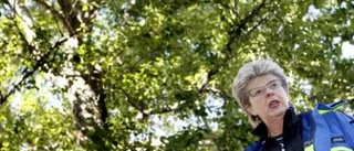 Skogsmulle besökte stan