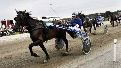 På söndag avgörs bygdetravet på Vitsandsbanan utanför Piteå. Den här gången med en rejält tilltagen prispott i några av loppen. (Arkivbild)