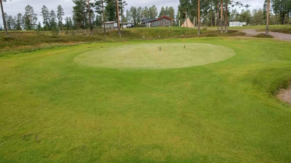 "Om man förstorar bilden så ser man att spaden är nerstucken i marken, och så har man tagit en hink bollar och man kan ju bara gissa men eftersom det inte fanns någon golfklubba kanske de har försökt spela golf med spaden", säger Sonja Lindman, golfklubbens ordförande.
