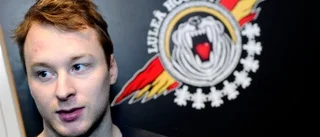 Mårts berömde Luleås bidrag