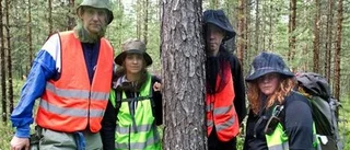 Inga heta fynd som kan lösa gåtan med Mustangmannen