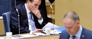 Gunnar Hökmark: Osäkerheten uppmuntrar inte tillväxt