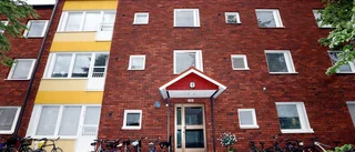 Nya rekordpriser för ettor i Luleå
