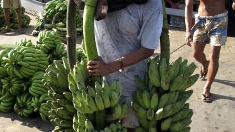I filmen Bananas uppmärksammas bananarbetarnas situation i Nicaragua. I en rapport från Consumers Internation står ananasarbetarnas problem med kemikalieanvändningen i fokus.