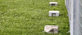 Ingen camping för minderåriga