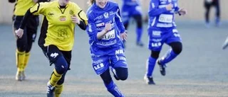 Notas skakade Alvik
