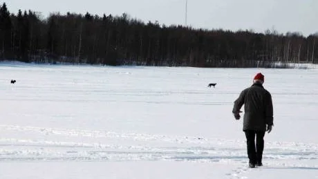 PÅ ISEN. Hundägaren Janne Nyberg gör ett tappert försök att närma sig Whiskey. Hunden Sigge lockade Whiskey (till höger i bild) till lek, men Whiskey höll sig på stort avstånd och avlägsnade sig snabbt.