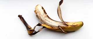 Skellefteå kommun halkar på ett bananskal