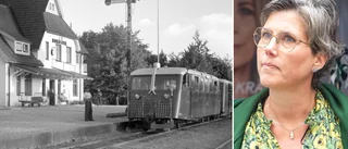 Ahlin (C) om detaljplanekritiken: ”Måste alltid ta hänsyn till prickad mark”