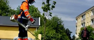 Stora löneskillnader för sommarjobbare