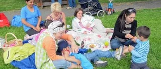 Uppskattad lunch med midsommarsill