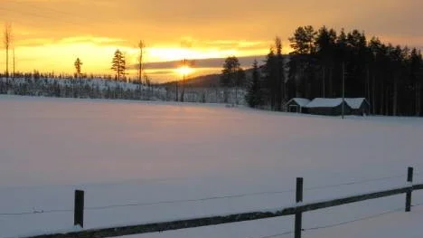 Efter flera mulna, snöiga dagar, äntligen en skymt av solen en kort stund en januaridag i Stockfors.