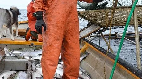 HAND. "Länstyrelsen har lagt en död hand över skärgården", säger Per-Erik Sångberg.
