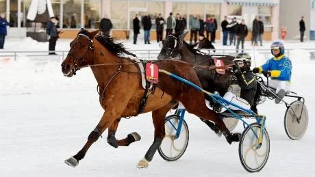 ROLIGT. Hanna Olofsson kan se ljuset för sitt stall igen efter ett tungt fjolår. I går vann hon med 14-oddsaren Nautical i Boden.