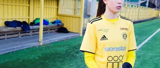 Notviken klar för kommande säsong