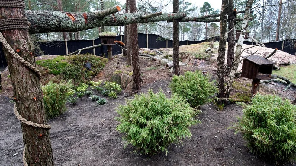 Berikningsansvarig. En av de tre avskedade personerna i Kolmårdens Djurpark var berikningsansvarig, vilket innebär att hitta lämpliga aktiviteter och leksaker åt djuren.