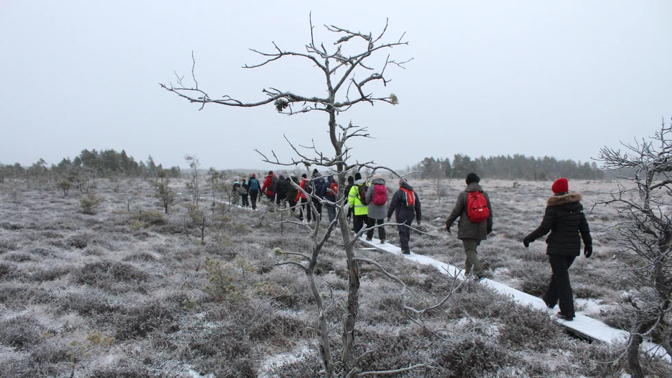 Risken för livsfarliga blindgångare, gör att man inte får lämna vandringsspången genom Kärnskogsmossen.