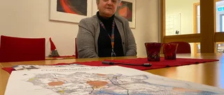 Kommunen: "Miljöfrågan hanteras när ansökan görs om verksamhet" • Företaget bekostar vägbygget