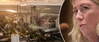 Intensivt arbete om cement och kalk • Ulla Sandborgh får förlängt uppdrag