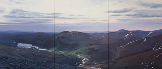 Hotad natur står i fokus för coronakonsten ■ Samlingen visas på Havremagasinet