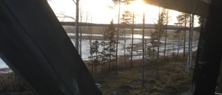 Fågelsjö ska bli mer tillgänglig