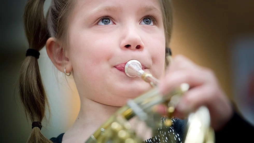 Blåsinstrument. Det är framför allt de ljusa tonerna som är jobbiga att få fram i instrumentet. Foto: Lars Eriksson.