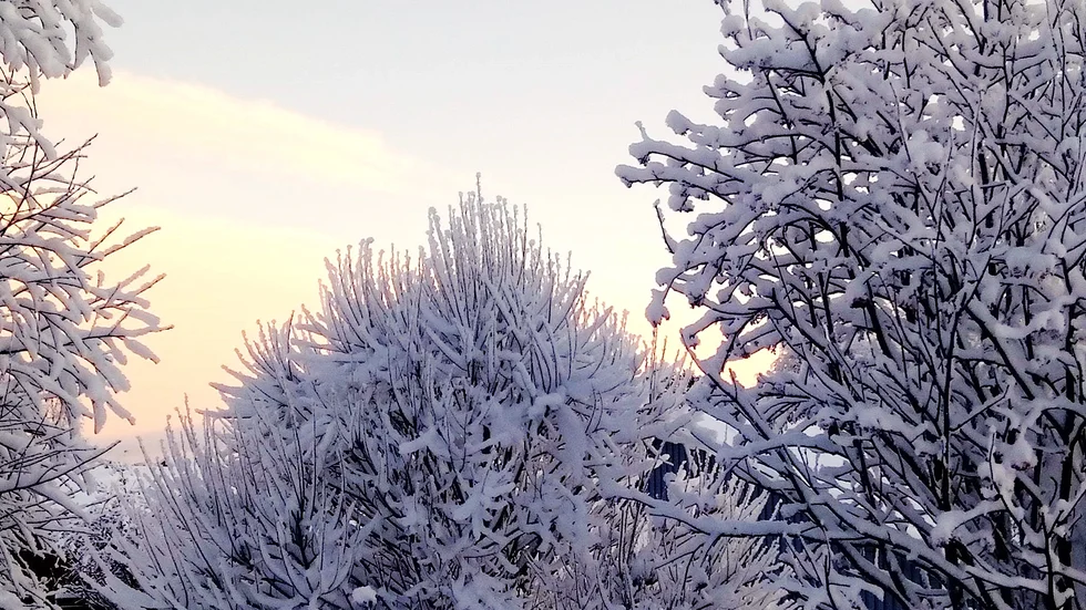 Trettio minusgrader och mycket snö var det i Jokkmokk när Marina Ohls fotograferade denna bild. Vill du dela med dig av en bild? Mejla den i liggande format (mera bred än hög) till familjeliv@nsd.se