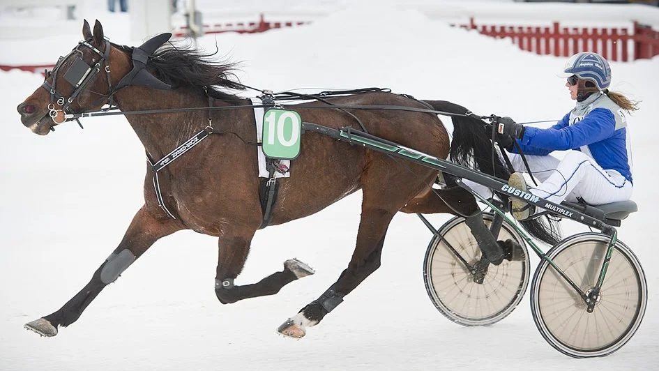 Northern Spy skrällde i V64-1 på Umåker. Arkivbild
