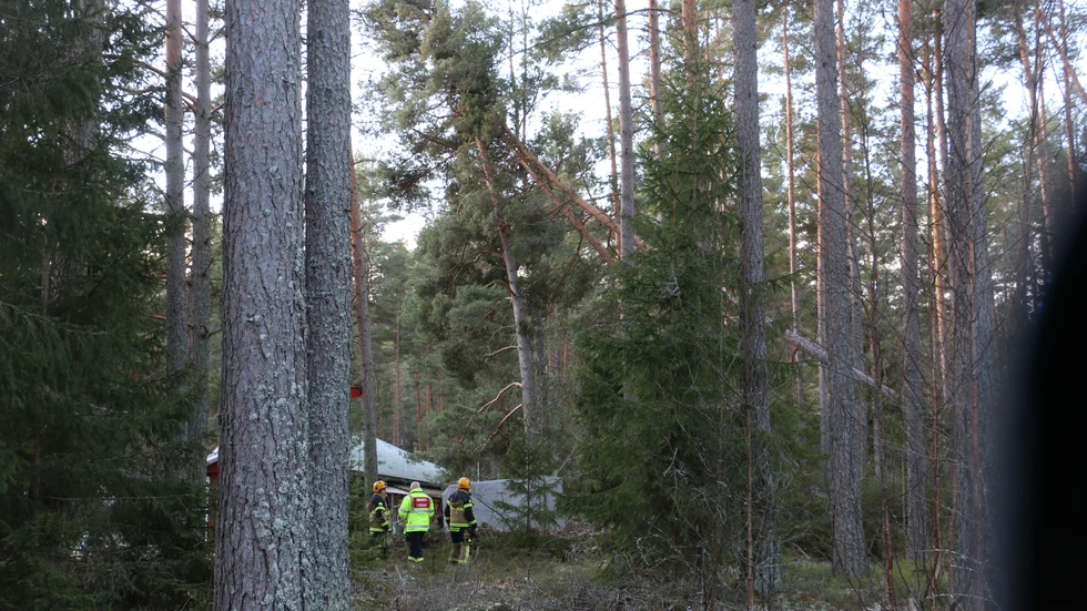 I Lönneberga hotade tre bastanta tallar att fall ner över ett garage. Räddningstjänsten var på plats, och konstaterade att det behövdes en skogsmaskin. Och det på momangen.