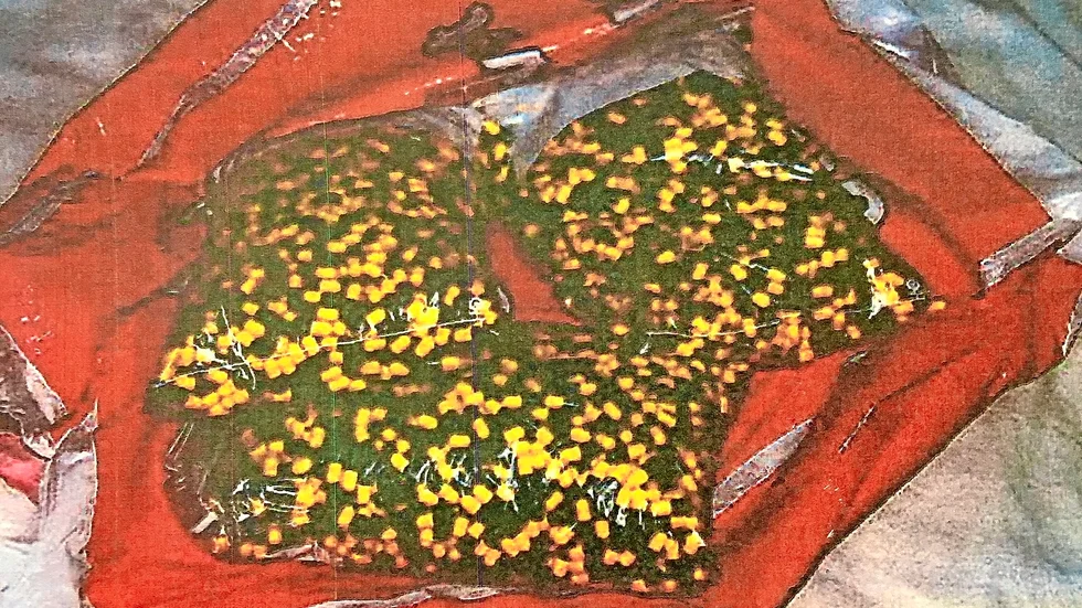 Delar av beslaget. Det här hittades i parets gemensamma bostad under husrannsakan. Foto: Polisen