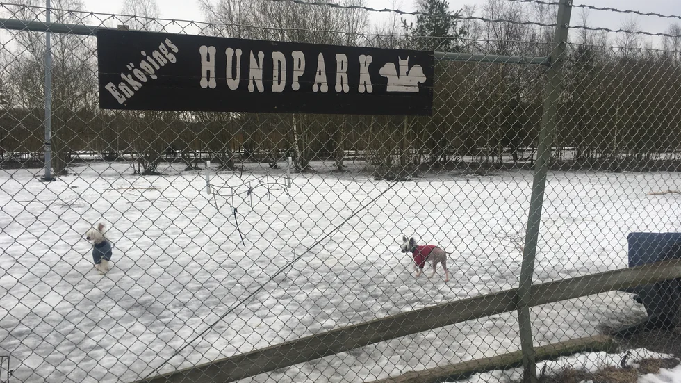 Enköpings hundrastgård får ny belysning. 