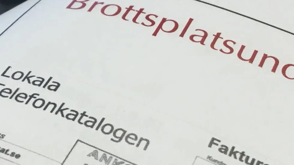 Bluffaktura. Åtminstone enligt åklagaren.