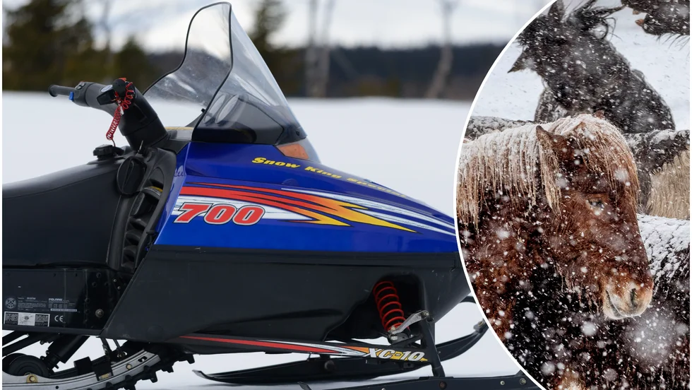 Kommunen måste ta ansvar för säkerheten kring Luleå ridklubb, skriver signaturen En väldigt less och förbannad hästtjej.