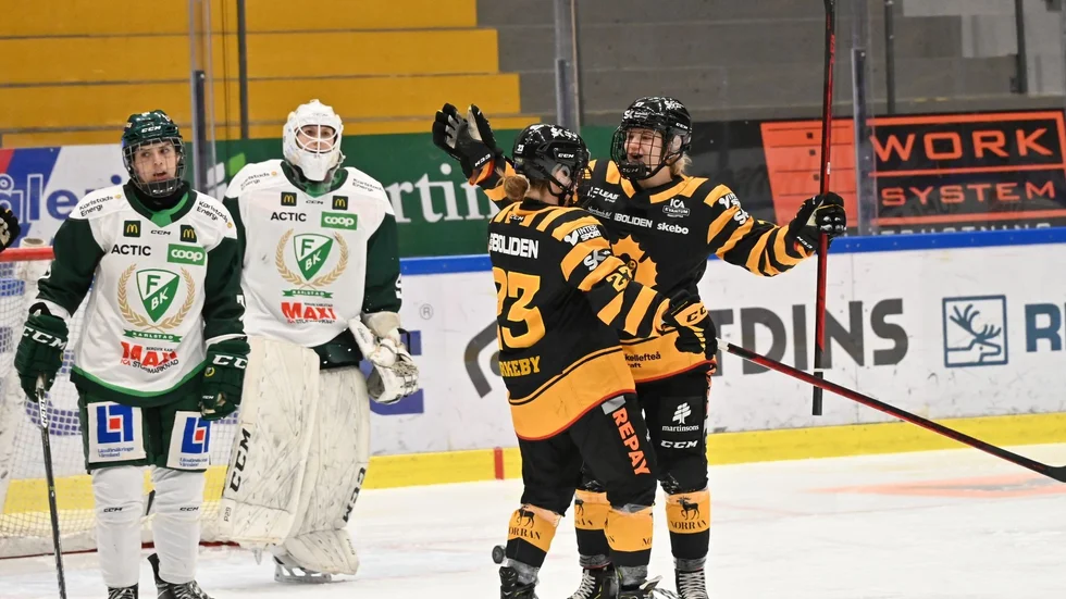 Många i AIK kunde hämta ut höga betyg efter matchen.
